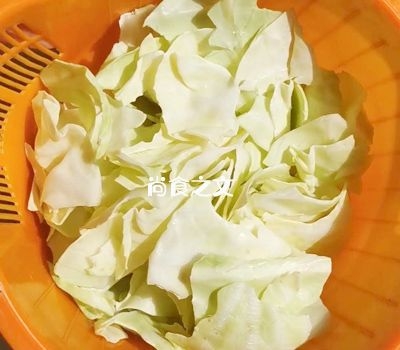 不用熬魚骨湯，也能做出湯鮮味正的懶人番茄魚片！的做法-酸甜味煮菜譜