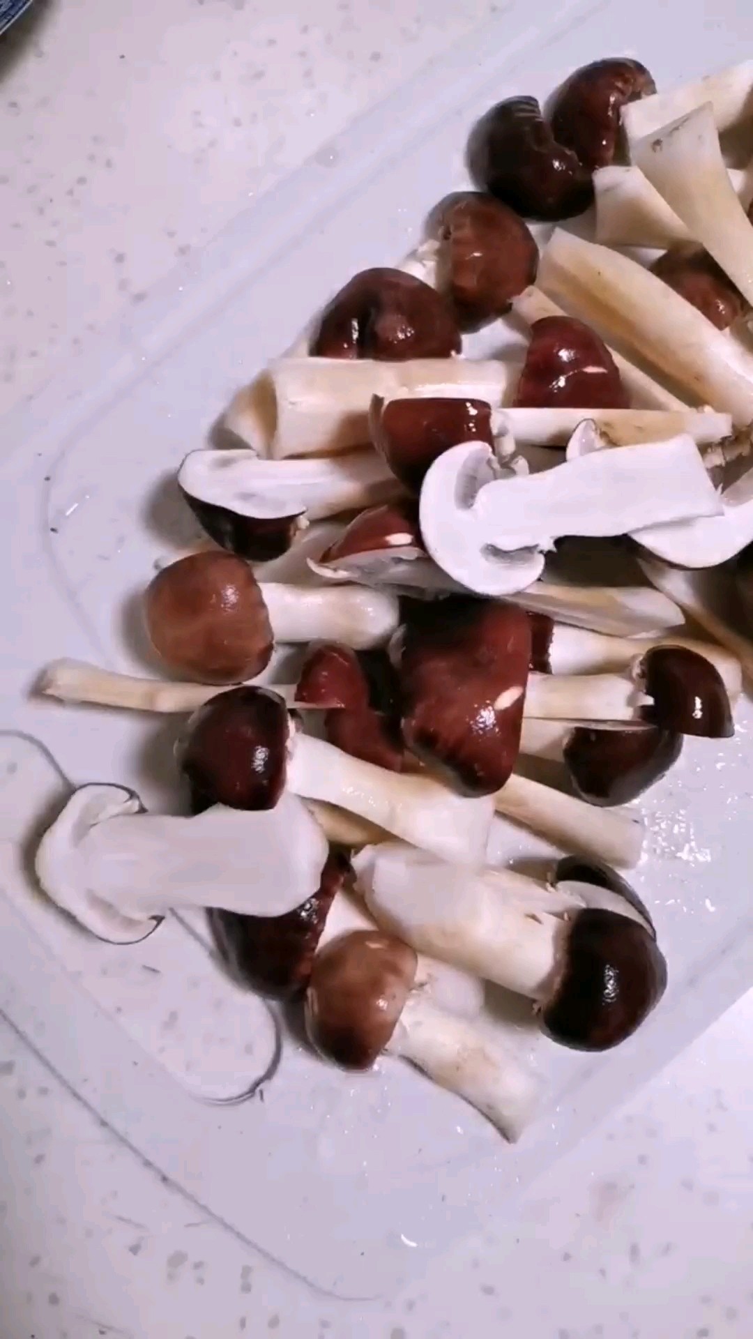 干煸松茸的做法-家常味煎菜譜