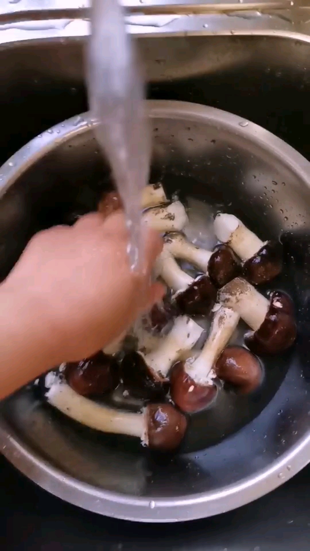 干煸松茸的做法-家常味煎菜譜