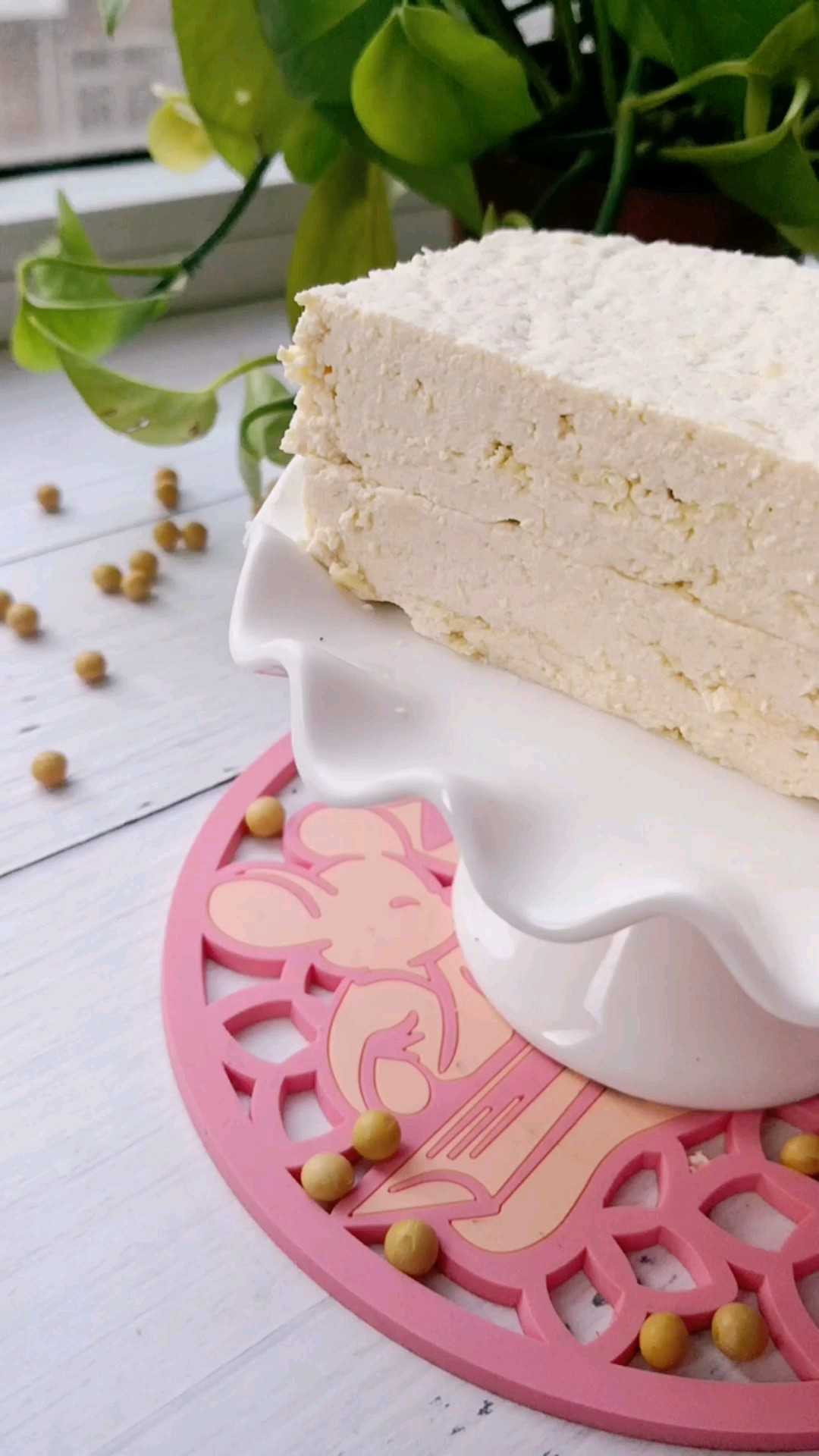 自制豆腐的做法-其它口味其它工藝菜譜