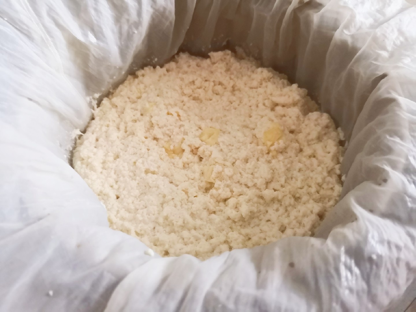 自制豆腐的做法-其它口味其它工藝菜譜