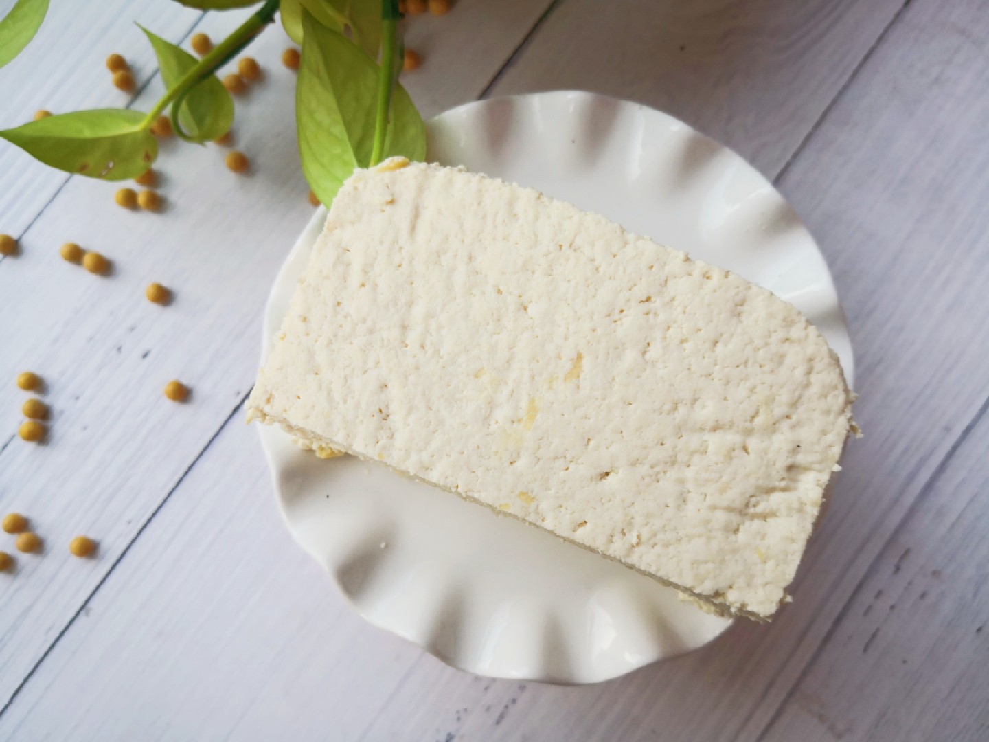 自制豆腐的做法-其它口味其它工藝菜譜