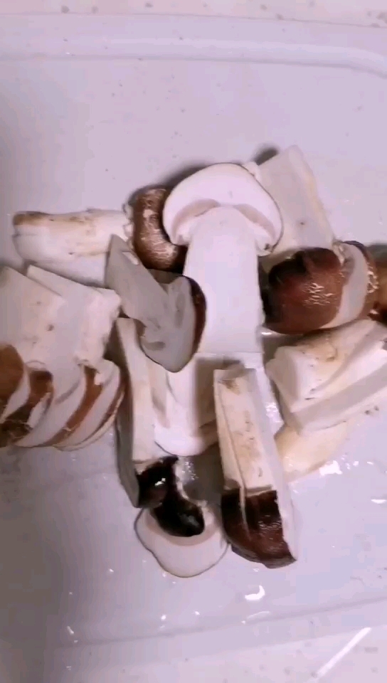 松茸春筍煲豆腐的做法-家常味煮菜譜