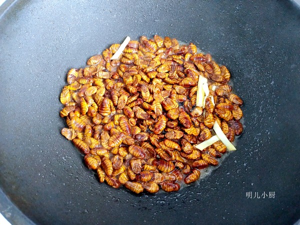 青椒炒蠶蛹的做法-家常味炒菜譜-易網(wǎng)健康養(yǎng)生網(wǎng) 青椒炒蠶蛹的做法-家常味炒菜譜