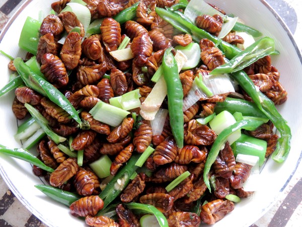 青椒炒蠶蛹的做法-家常味炒菜譜