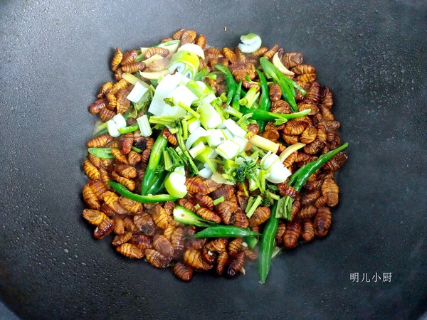 青椒炒蠶蛹的做法-家常味炒菜譜-易網(wǎng)健康養(yǎng)生網(wǎng) 青椒炒蠶蛹的做法-家常味炒菜譜