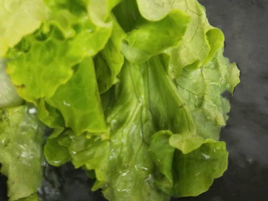 蒜香蠔油生菜的做法-咸鮮味煮菜譜-易網(wǎng)健康養(yǎng)生網(wǎng) 蒜香蠔油生菜的做法-咸鮮味煮菜譜