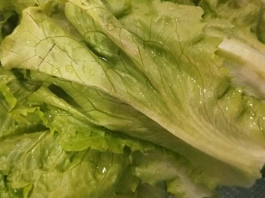 蒜香蠔油生菜的做法-咸鮮味煮菜譜-易網(wǎng)<a href=http://www.gyfww.com/ target=_blank class=infotextkey>健康養(yǎng)生</a>網(wǎng) 蒜香蠔油生菜的做法-咸鮮味煮菜譜