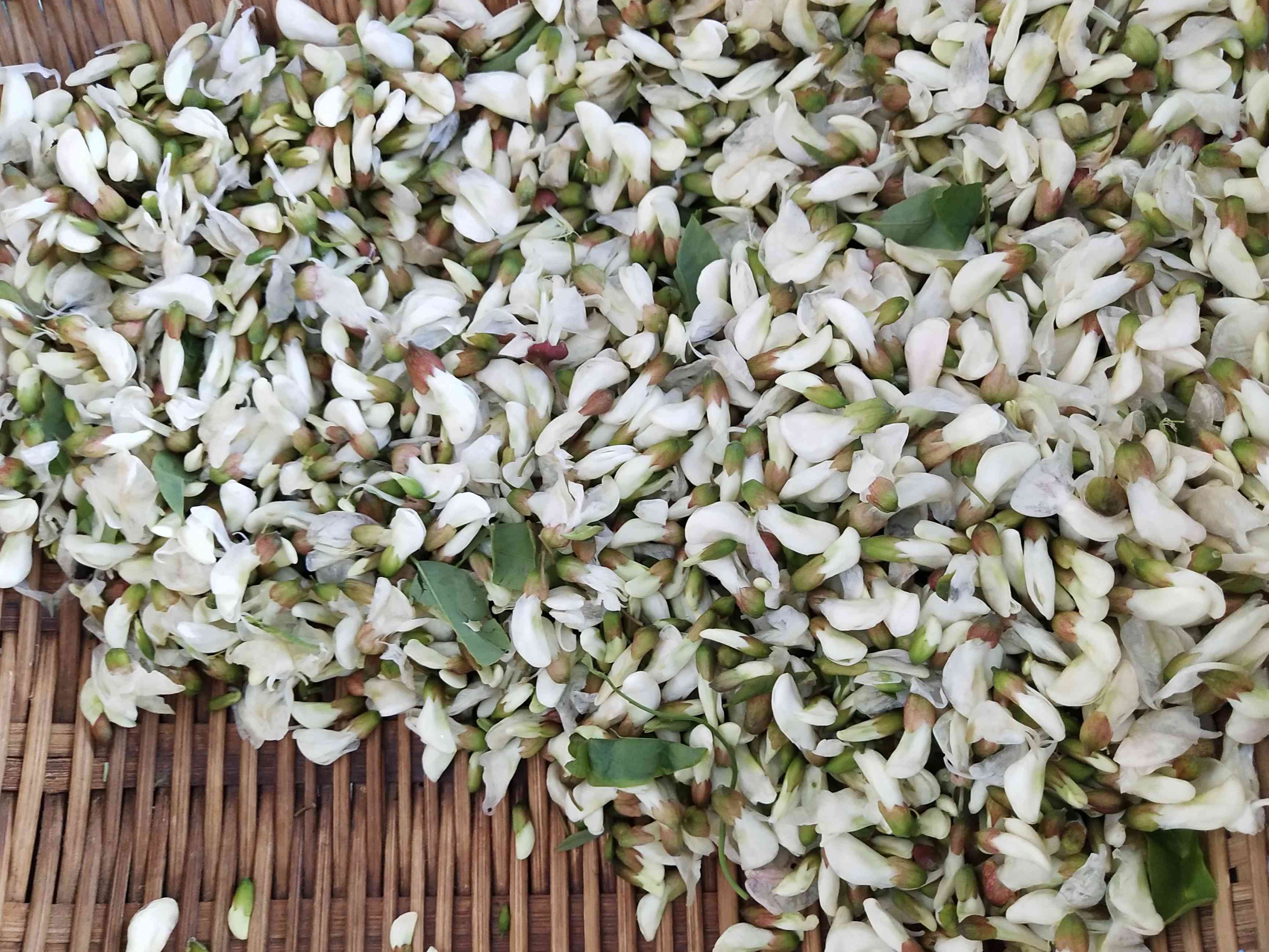 蒸槐花的做法-家常味蒸菜譜