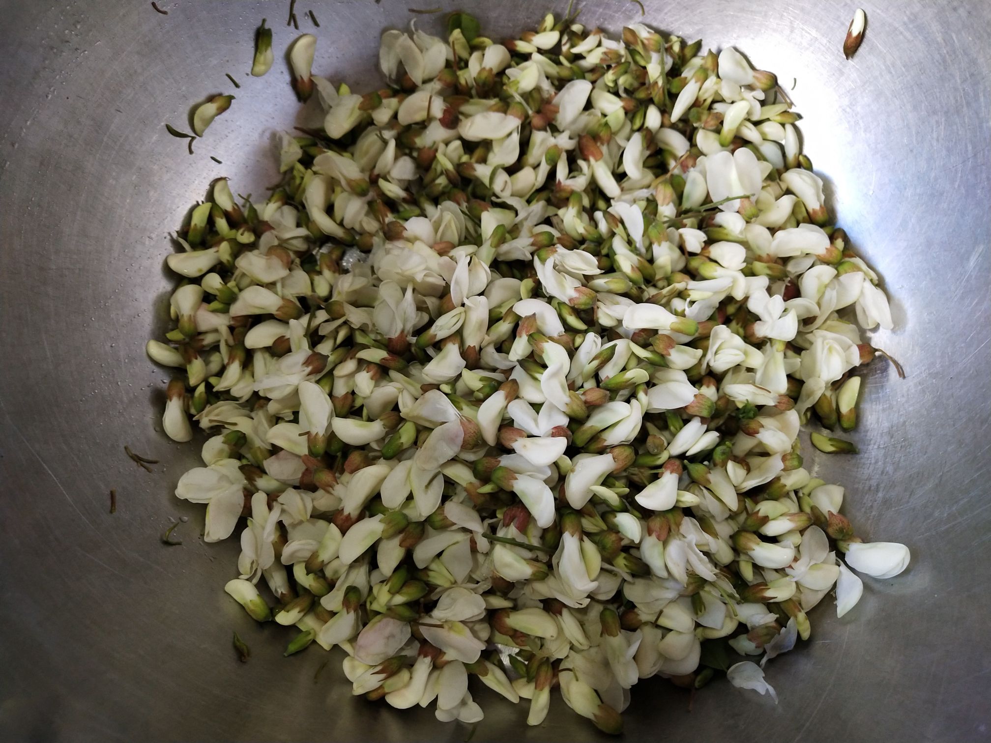 蒸槐花的做法-家常味蒸菜譜