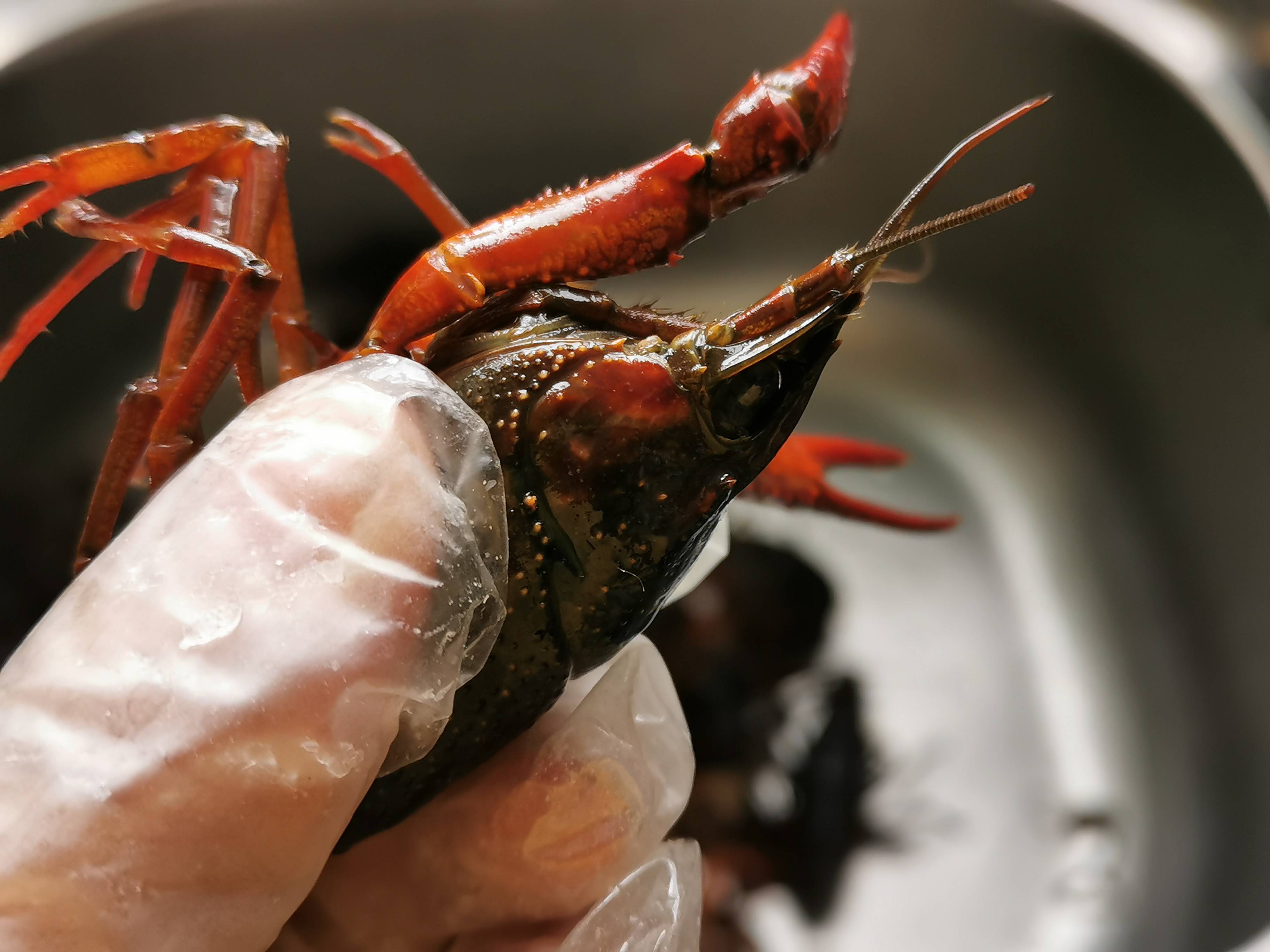 香辣小龍蝦的做法-香辣味炒菜譜