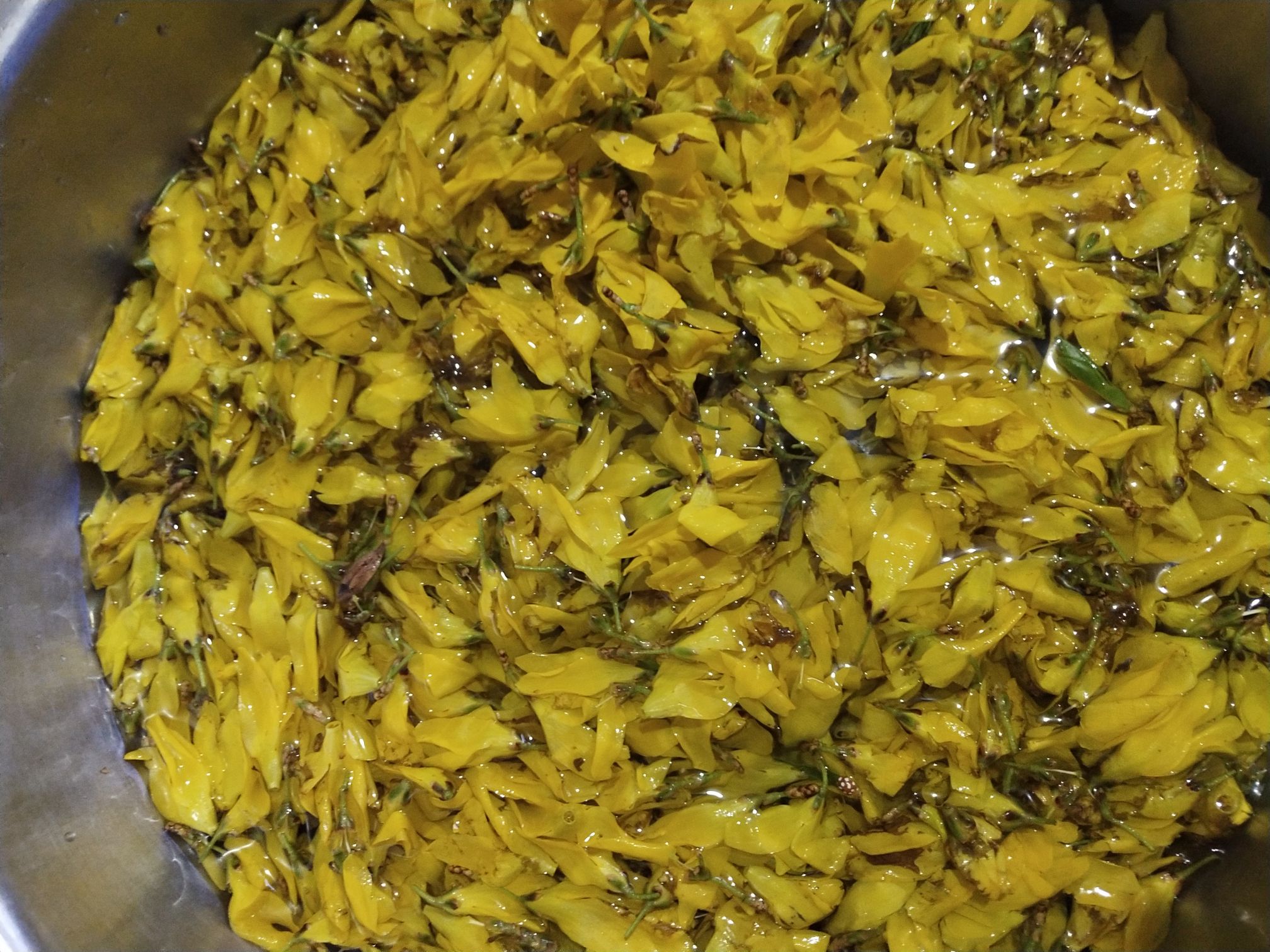 連翹花煎餅的做法-家常味煎菜譜