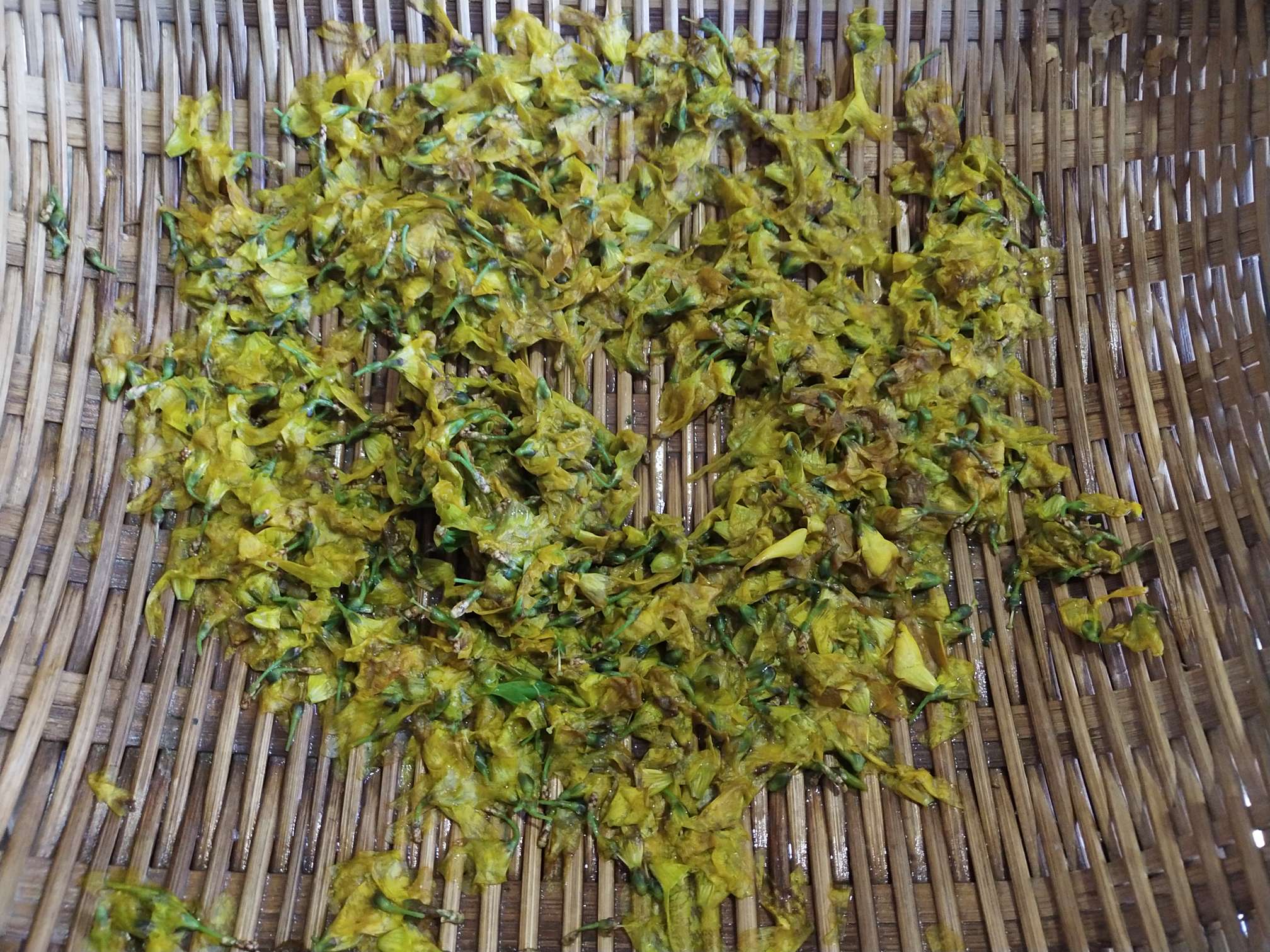 連翹花煎餅的做法-家常味煎菜譜