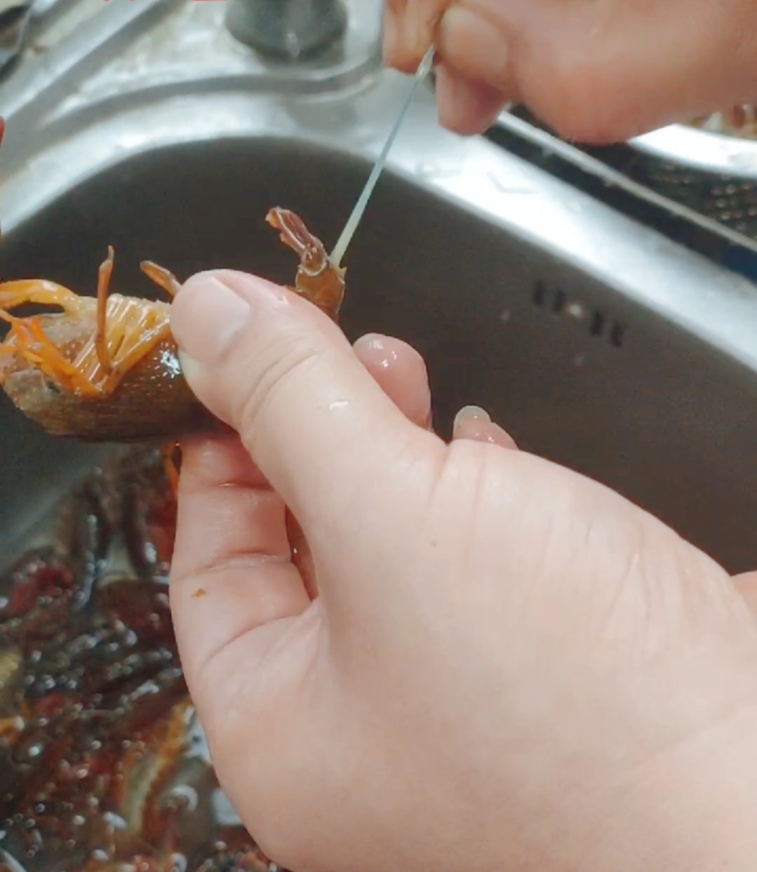 香辣小龍蝦的做法-香辣味其它工藝菜譜