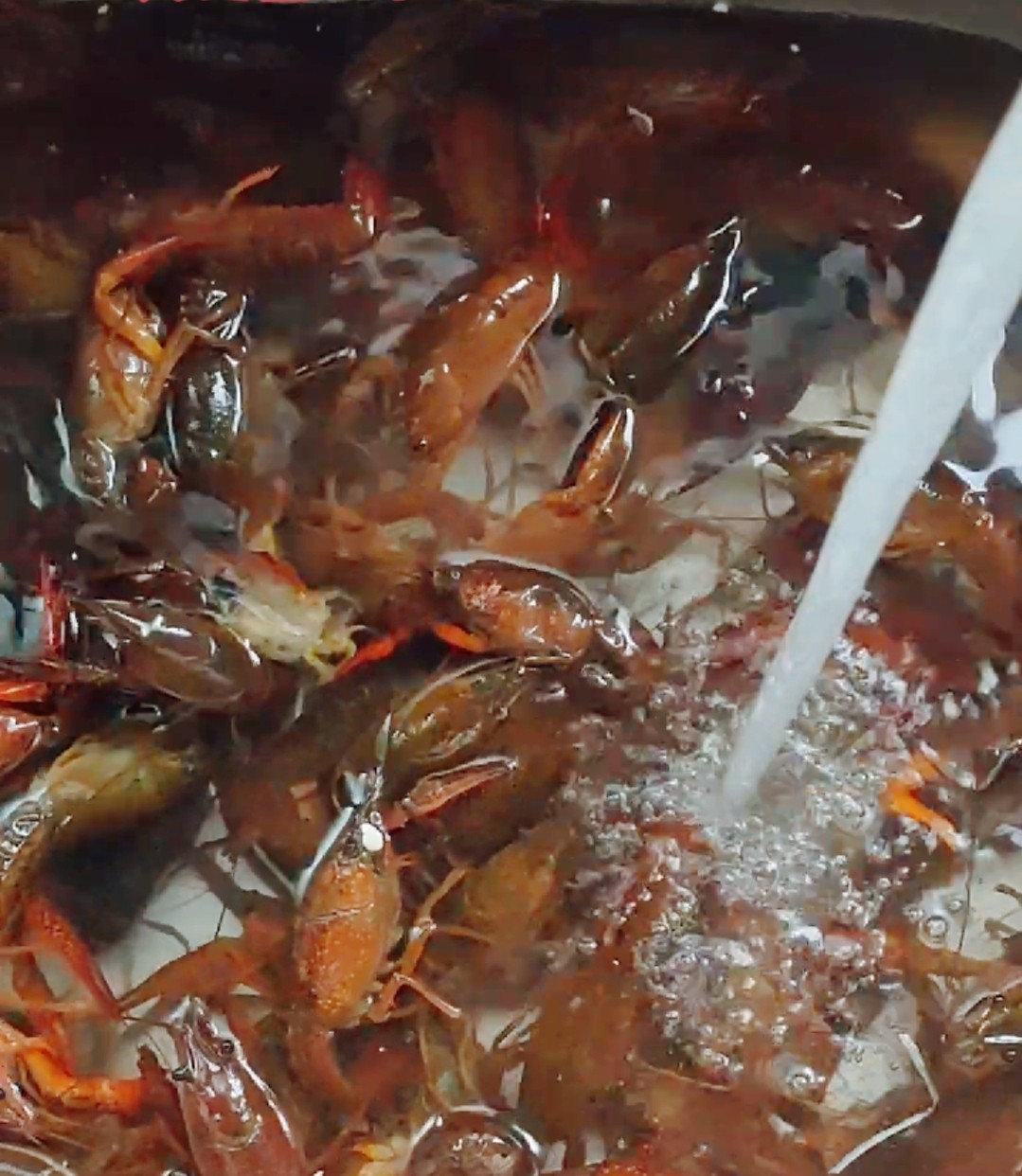 香辣小龍蝦的做法-香辣味其它工藝菜譜