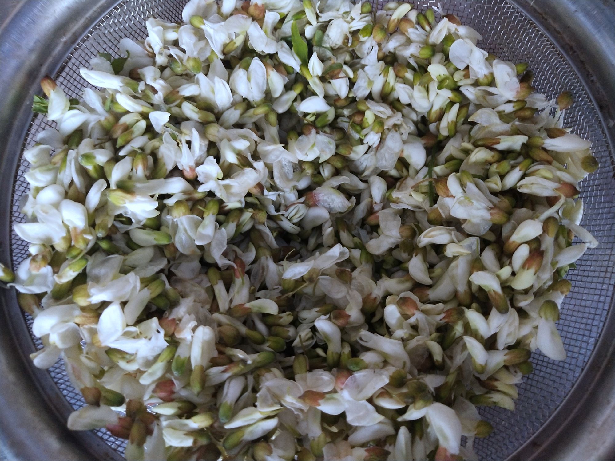 槐花拌豆腐的做法-家常味煮菜譜