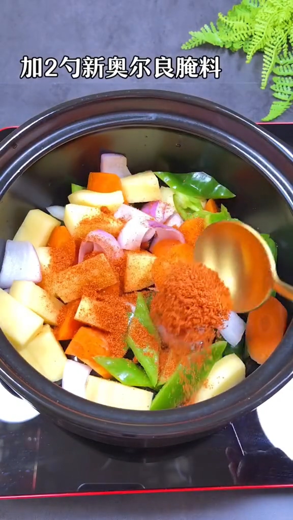 三汁雞翅燜鍋的做法-咸鮮味燜菜譜