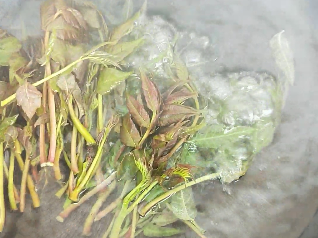 香椿炒蛋的做法-家常味炒菜譜