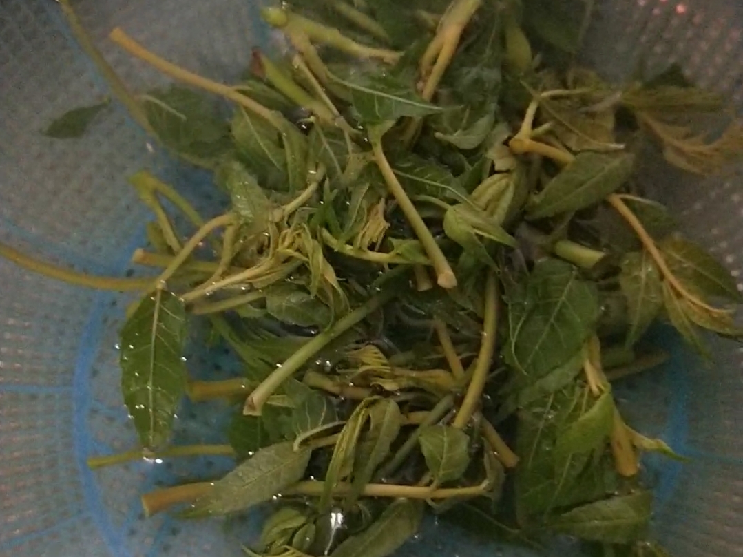 香椿炒蛋的做法-家常味炒菜譜