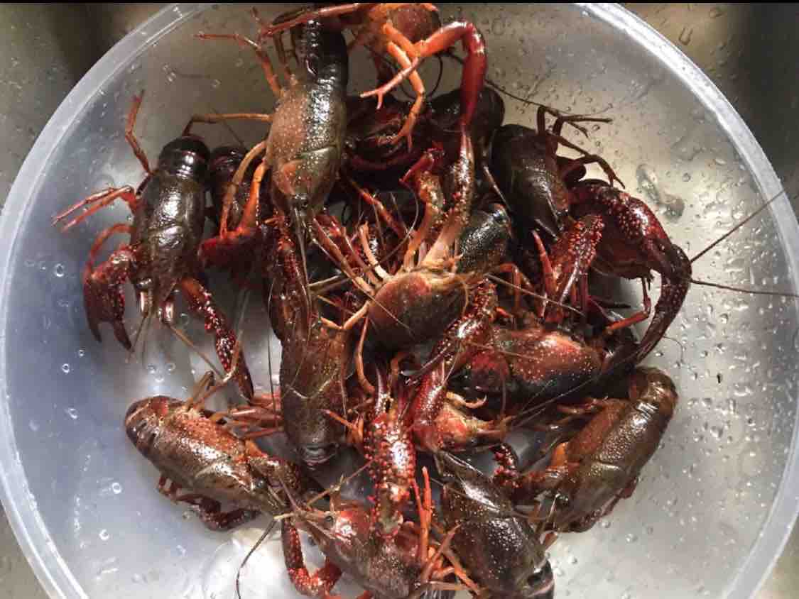 小龍蝦的做法-五香味煮菜譜