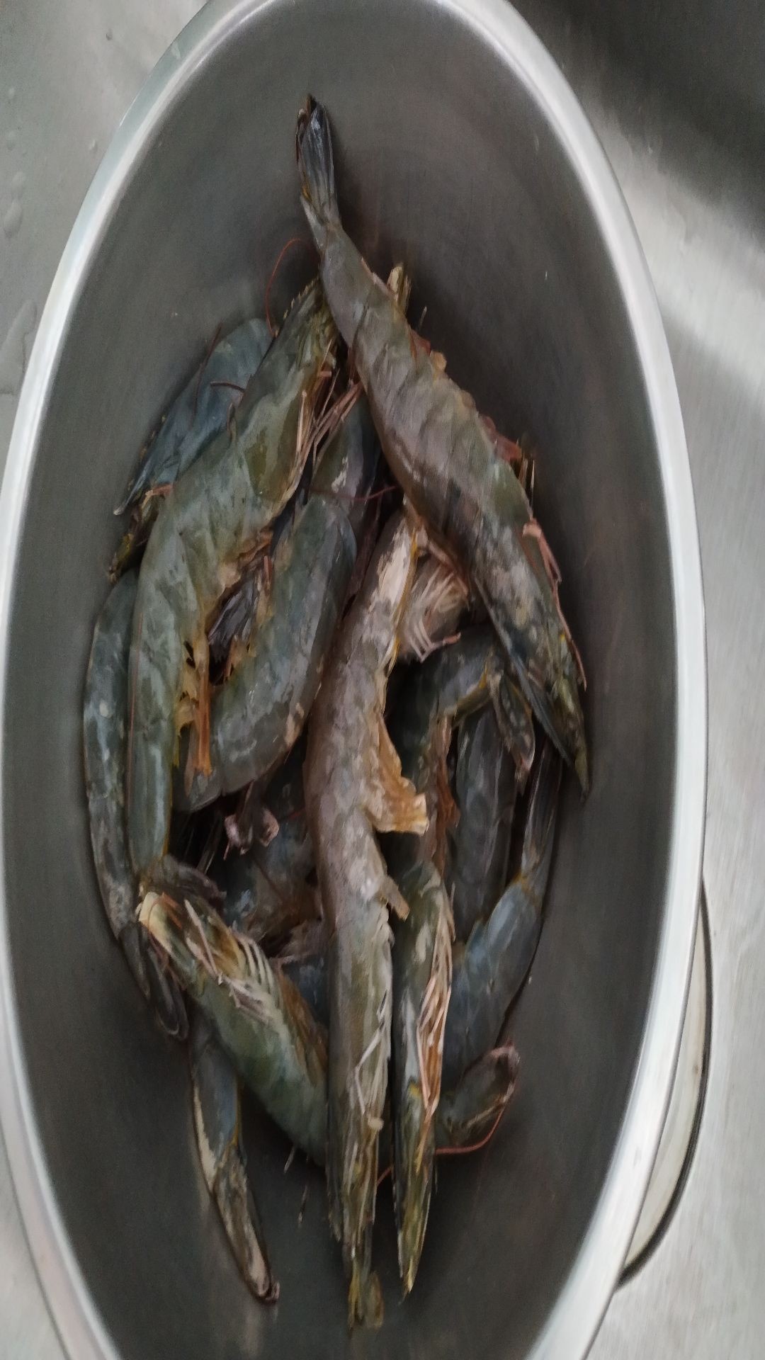 蔥炒海蝦的做法-家常味炒菜譜-易網<a href=http://www.gyfww.com/ target=_blank class=infotextkey>健康養(yǎng)生</a>網 蔥炒海蝦的做法-家常味炒菜譜