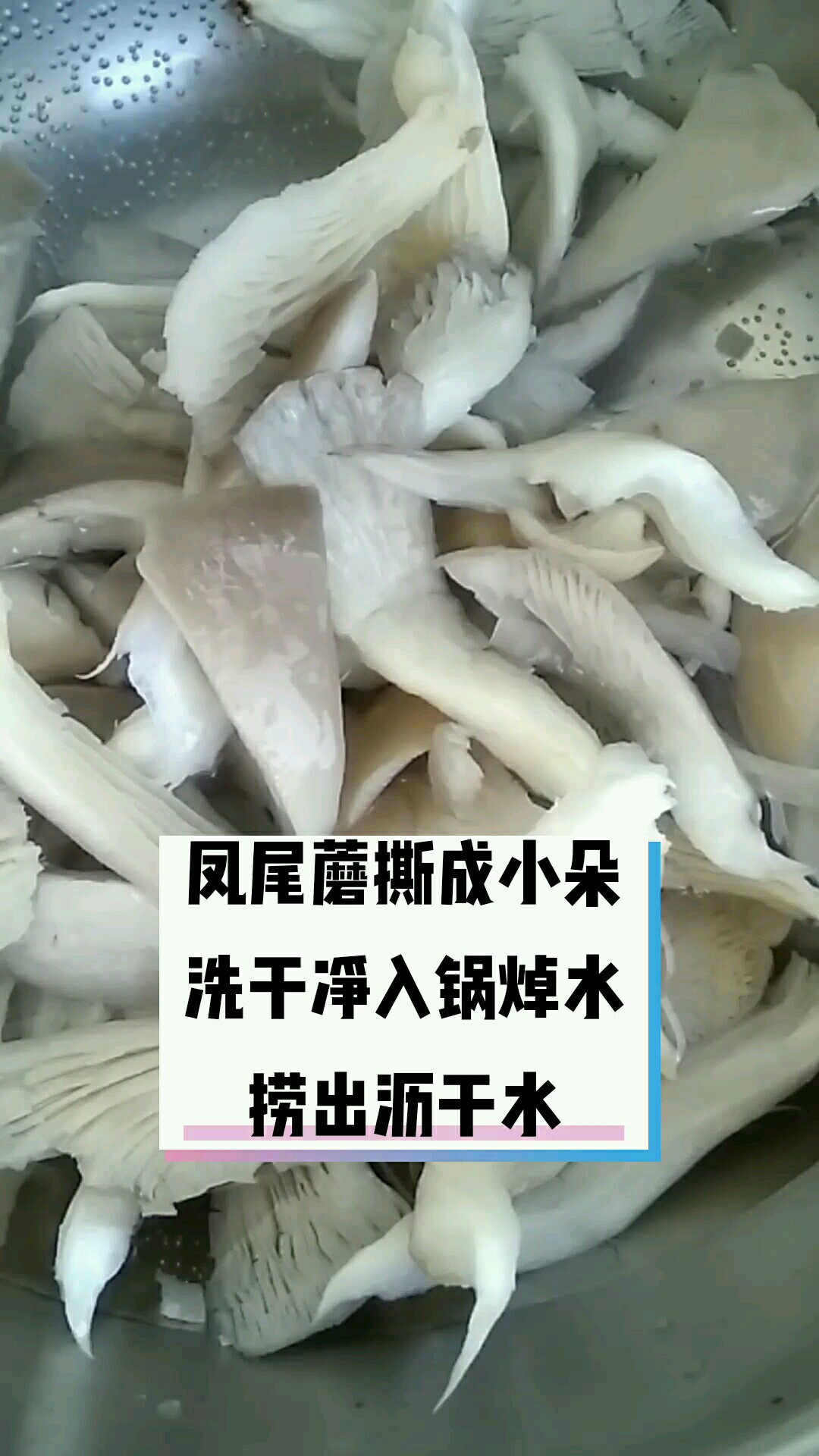 鳳尾蘑炒白菜的做法-家常味炒菜譜