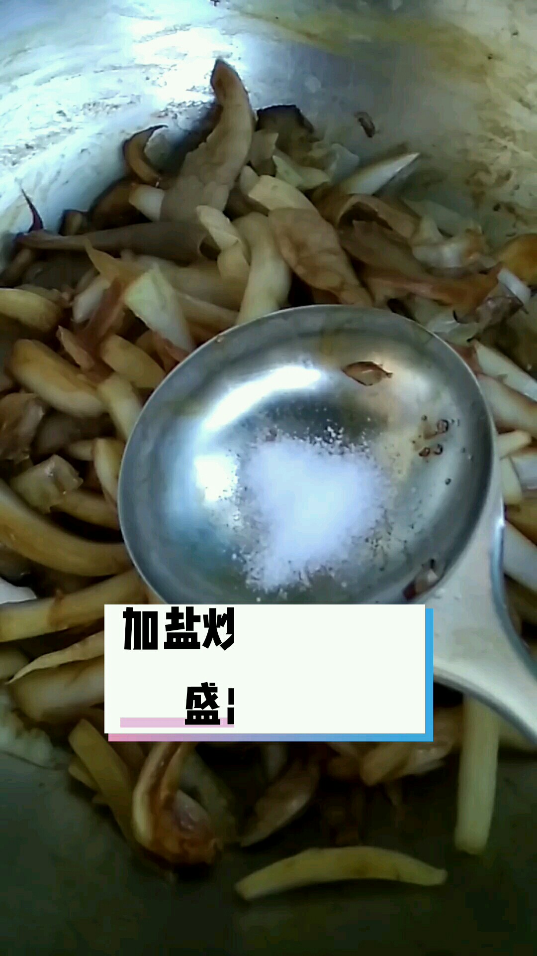 鳳尾蘑炒白菜的做法-家常味炒菜譜