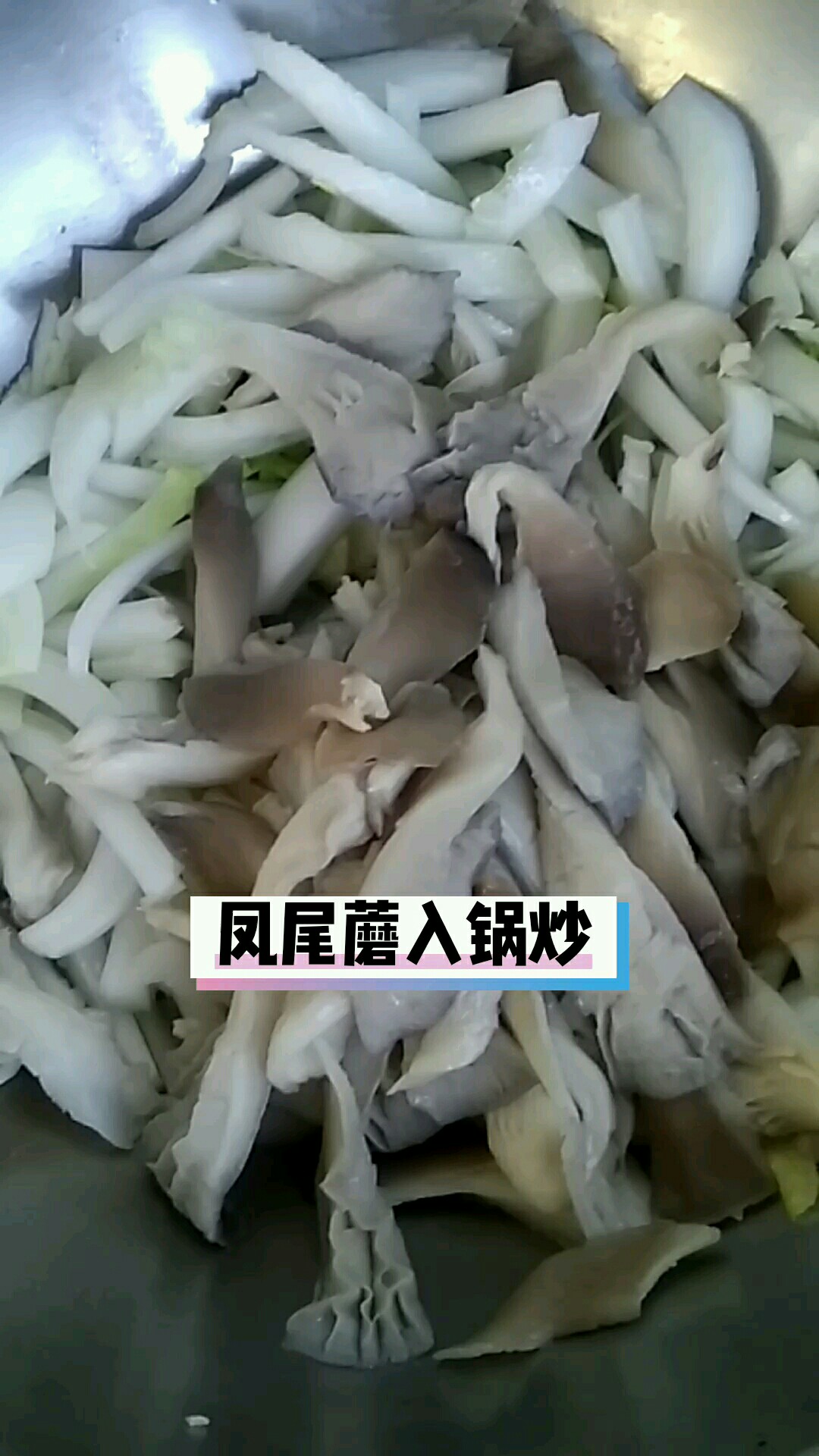 鳳尾蘑炒白菜的做法-家常味炒菜譜