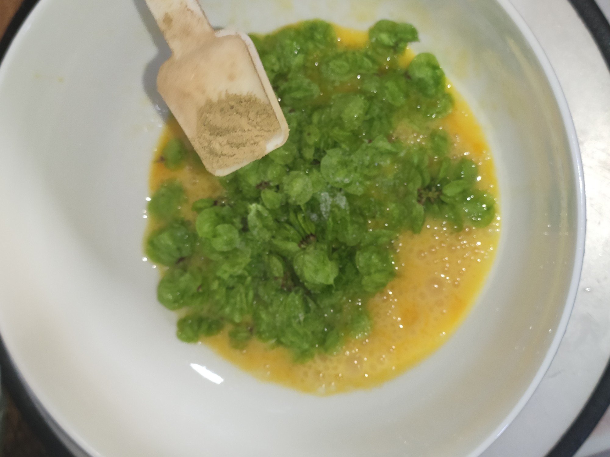 榆樹錢煎蛋的做法-咸鮮味煎菜譜