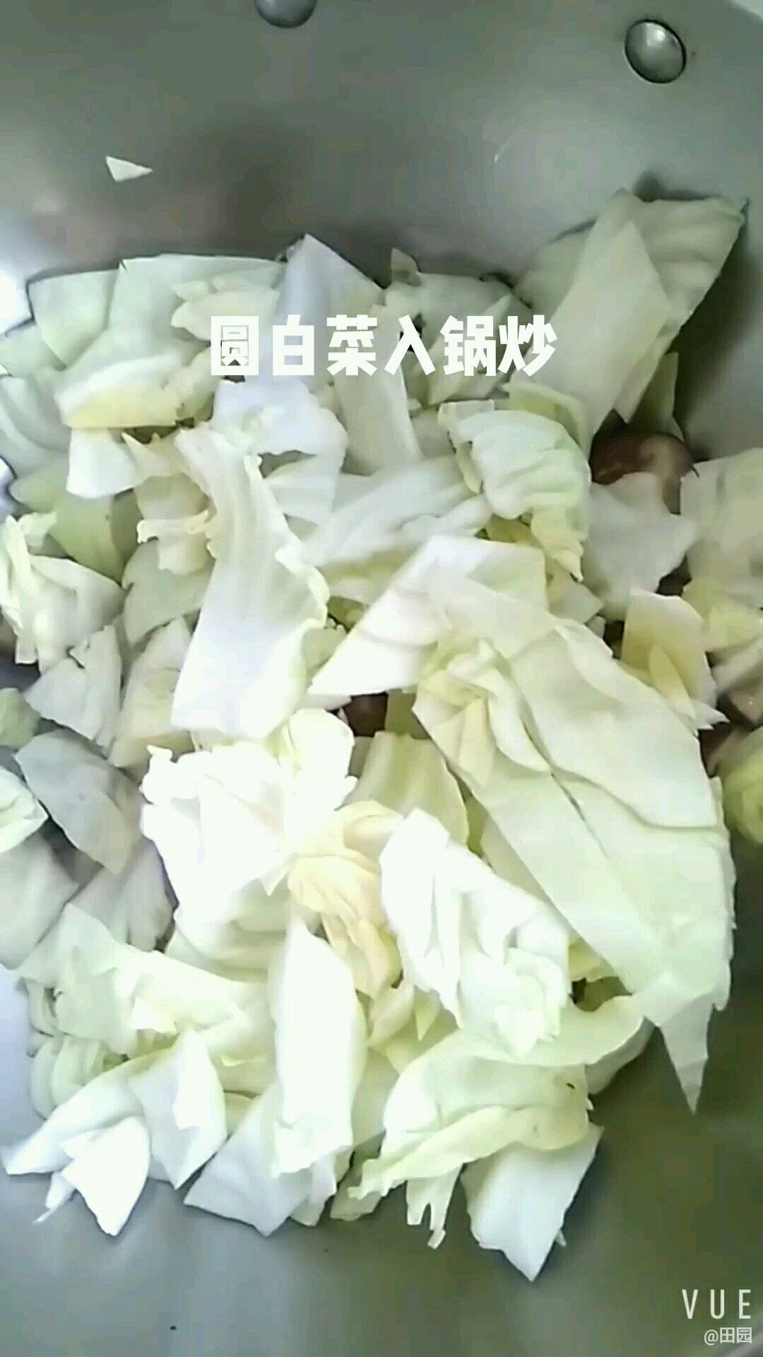 香菇炒圓白菜的做法-家常味炒菜譜