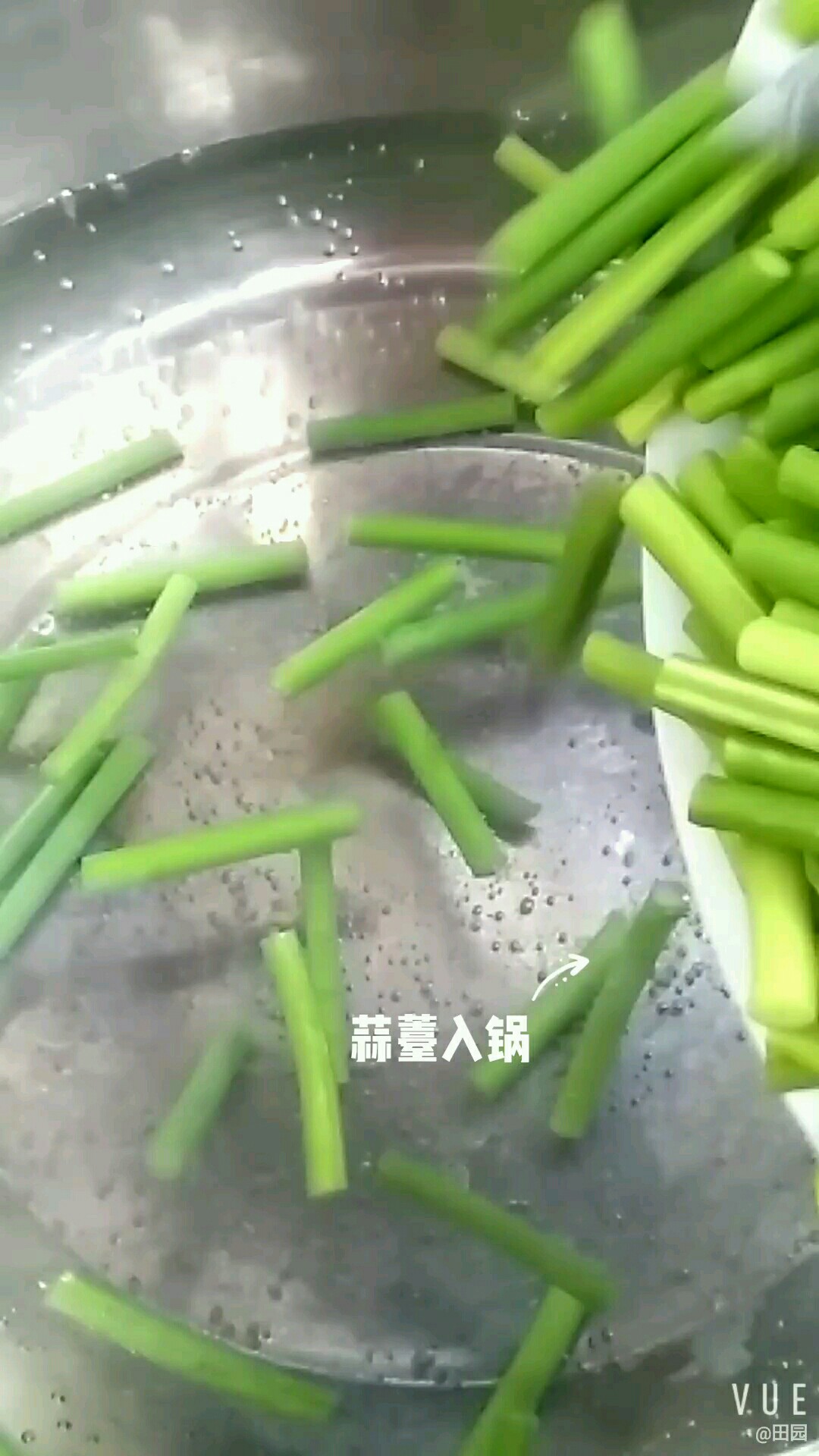 豬肉餡炒蒜薹的做法-咸鮮味炒菜譜
