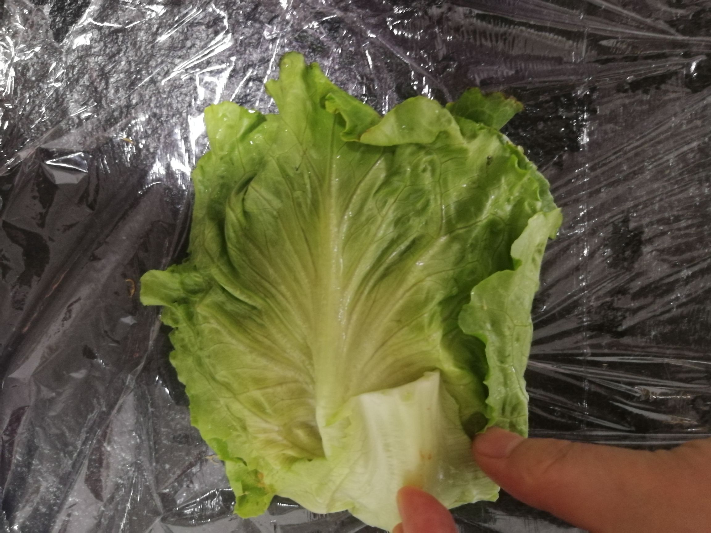 減肥餐的做法-酸甜味其它工藝菜譜