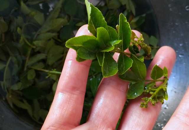 花椒芽拌豆腐的做法-家常味拌菜譜