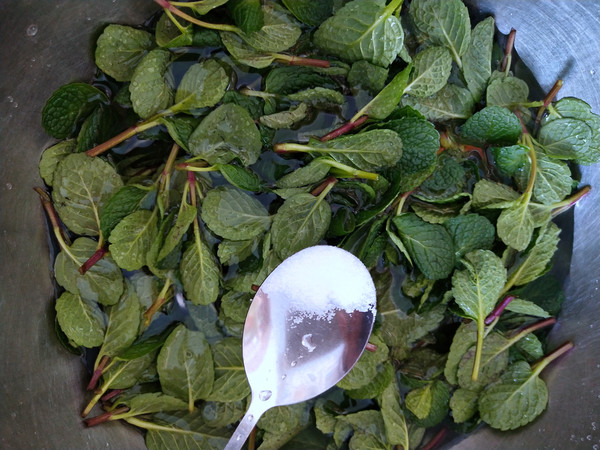 熗拌十香菜的做法-家常味拌菜譜-易網健康養生網 熗拌十香菜的做法-家常味拌菜譜