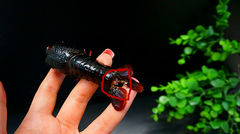 雜炒小龍蝦的做法-香辣味炒菜譜