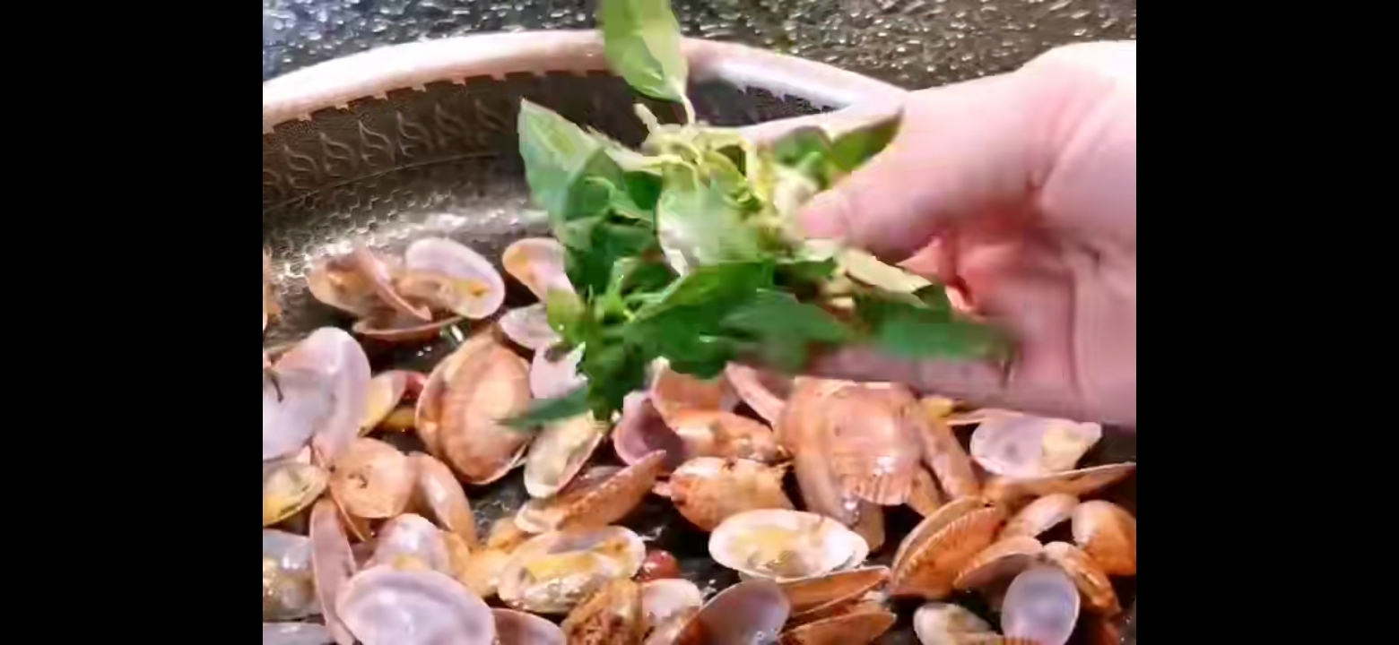 炒花甲的做法-咸鮮味炒菜譜