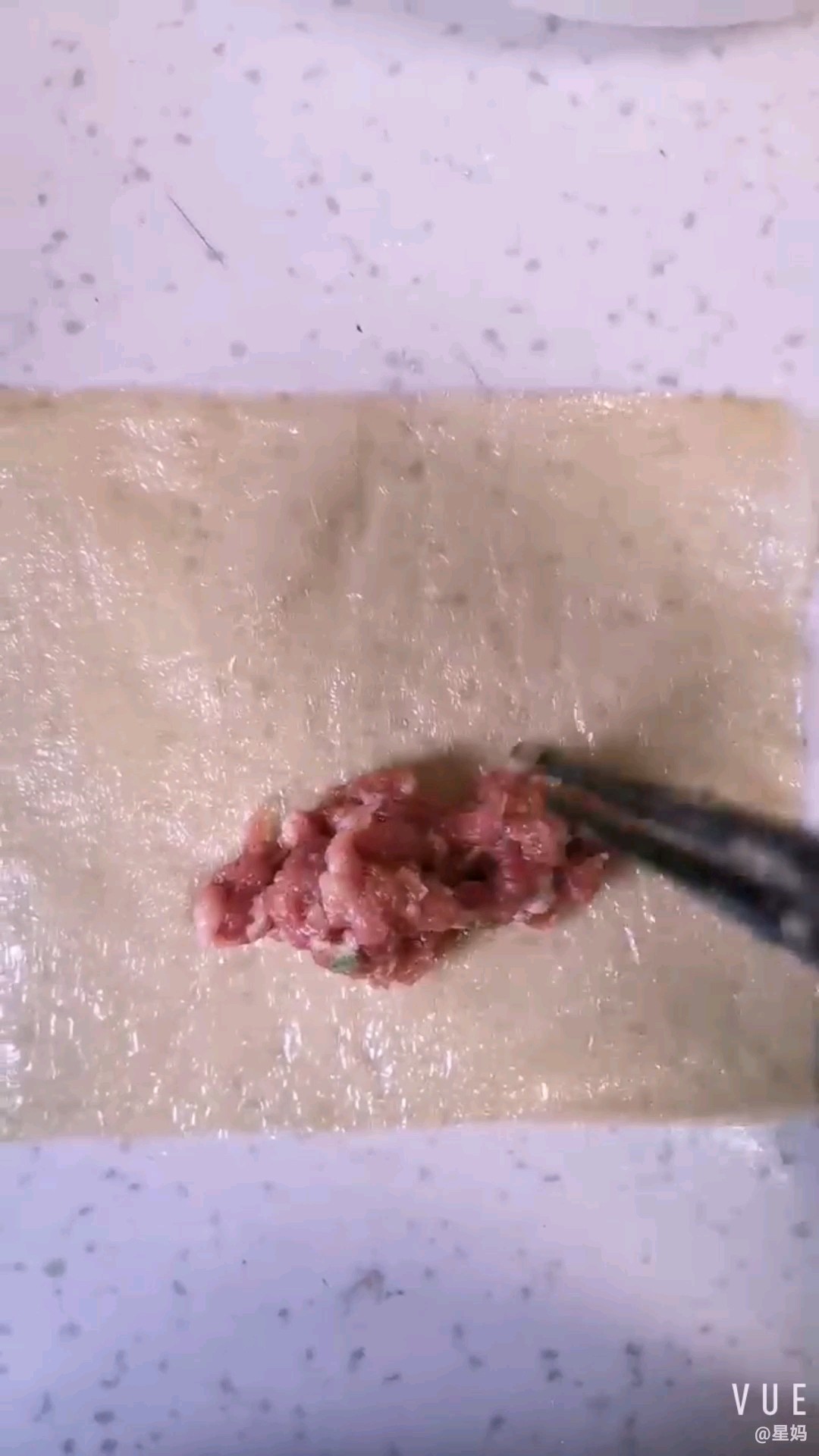 豆腐皮包肉的做法-家常味蒸菜譜