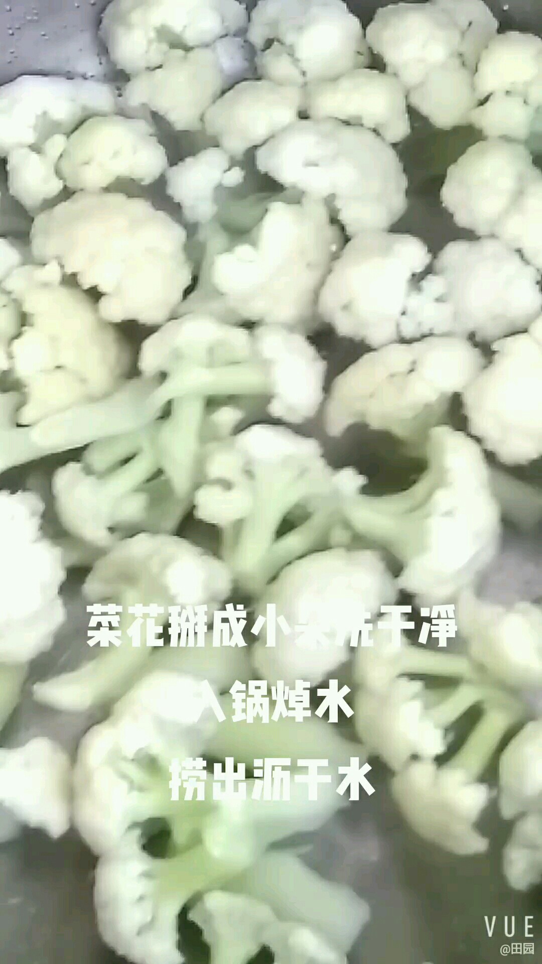 木耳炒菜花的做法-家常味炒菜譜