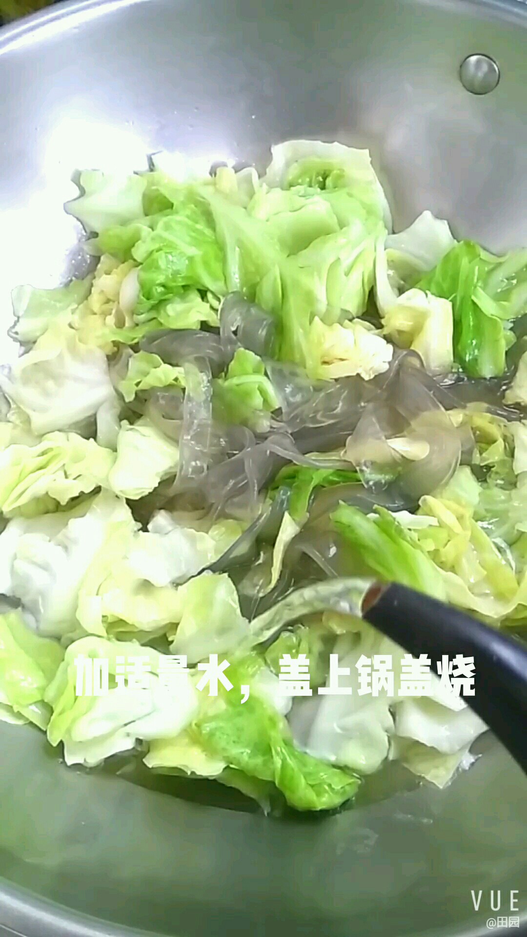 粉條燒圓白菜的做法-家常味燒菜譜