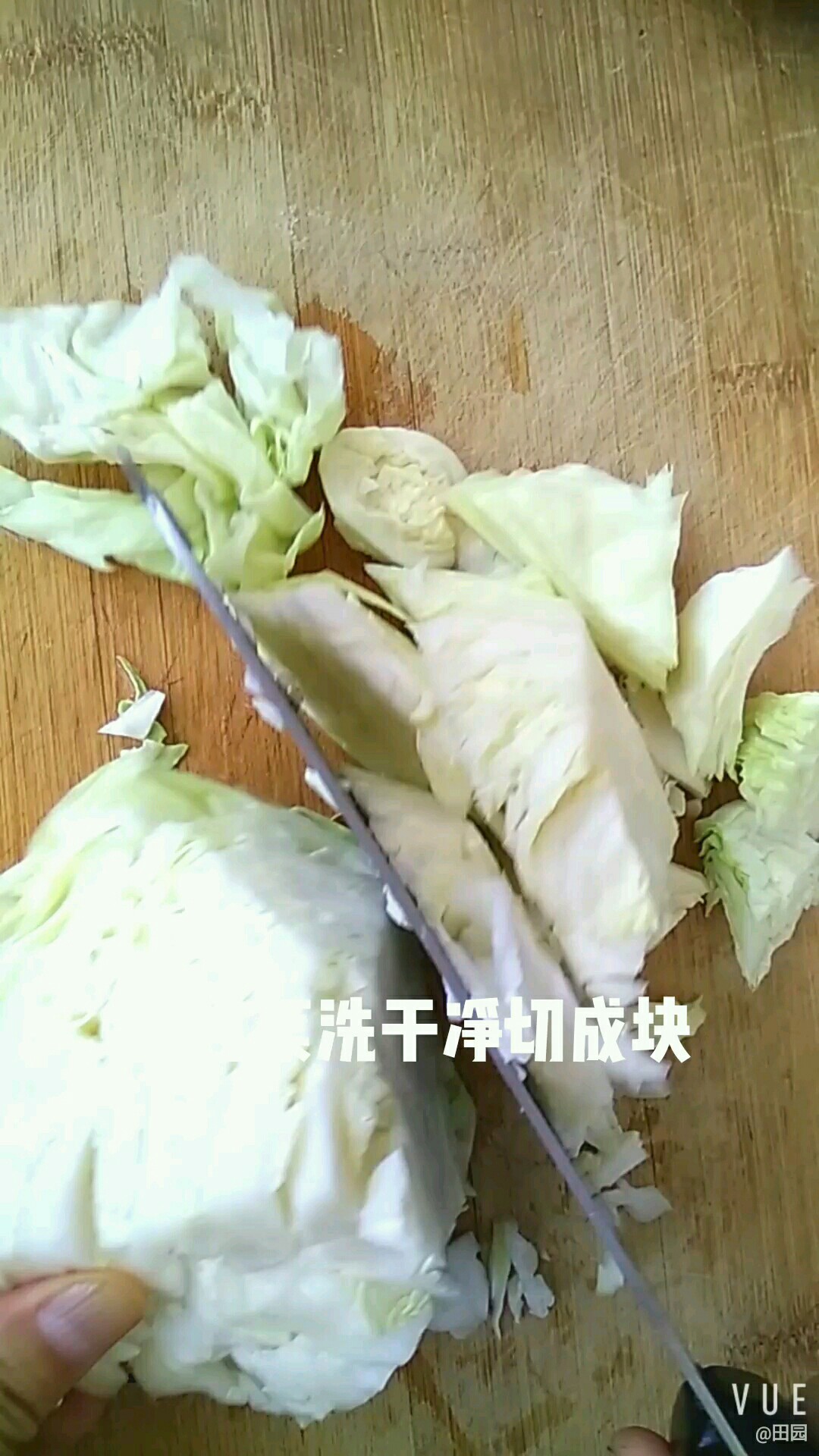 粉條燒圓白菜的做法-家常味燒菜譜