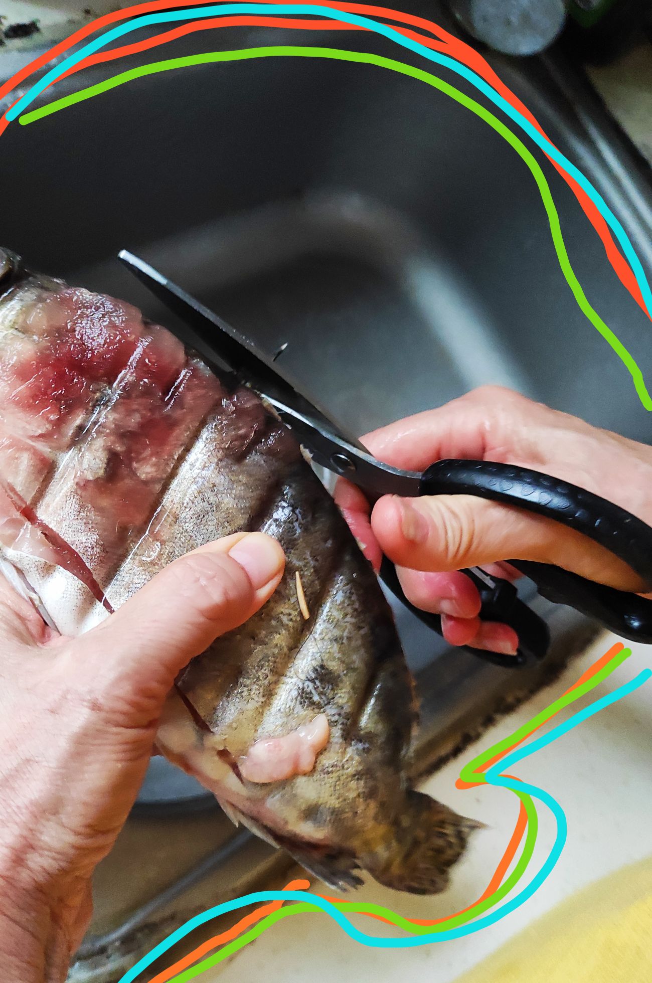 糖醋鱖魚的做法-酸甜味煎菜譜