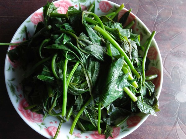 蘸水紅薯尖的做法-香辣味其它工藝菜譜