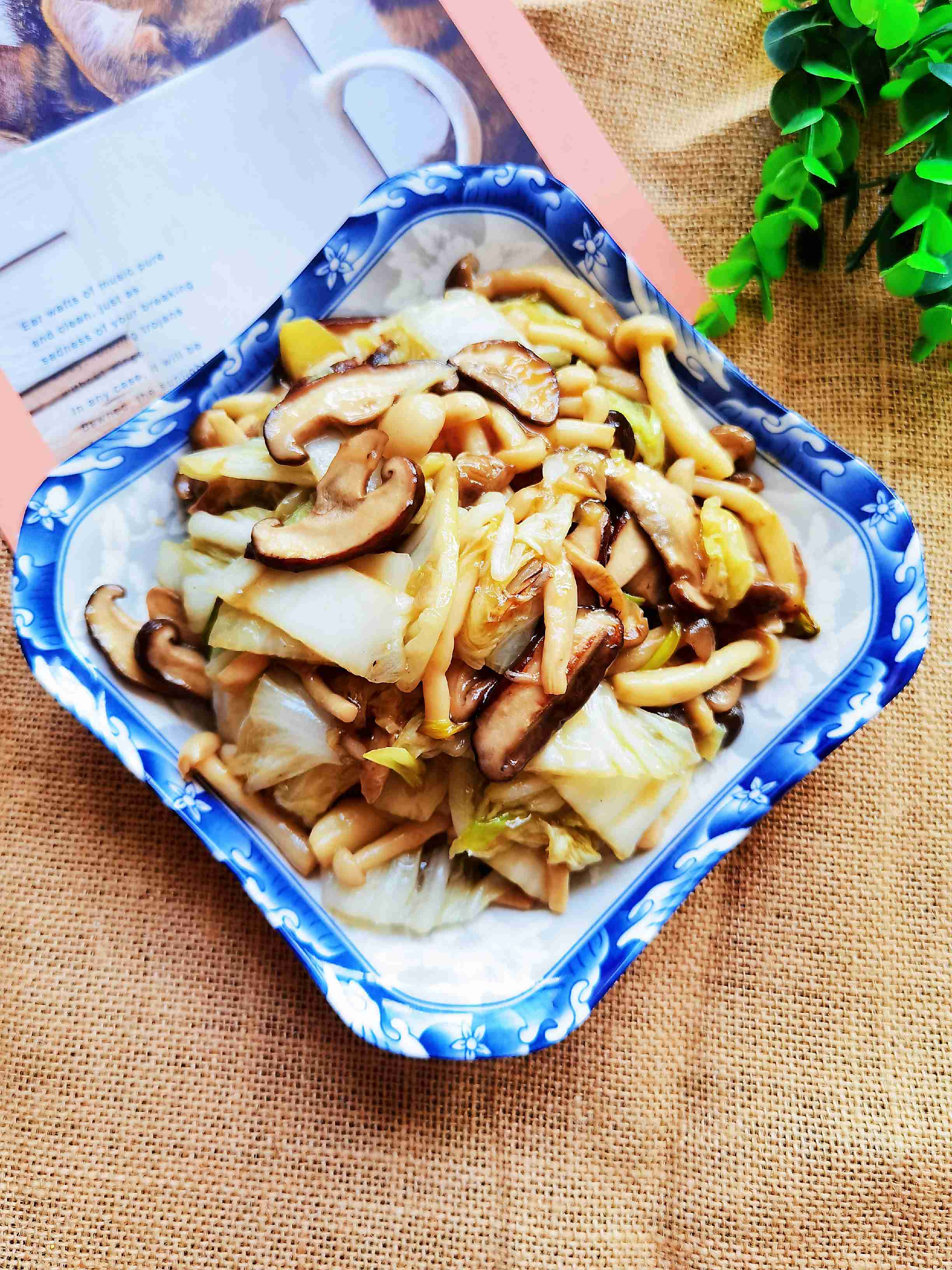 吃百菜不如吃白菜，白菜炒蘑菇，鮮美脆嫩又下飯的做法-咸鮮味炒菜譜