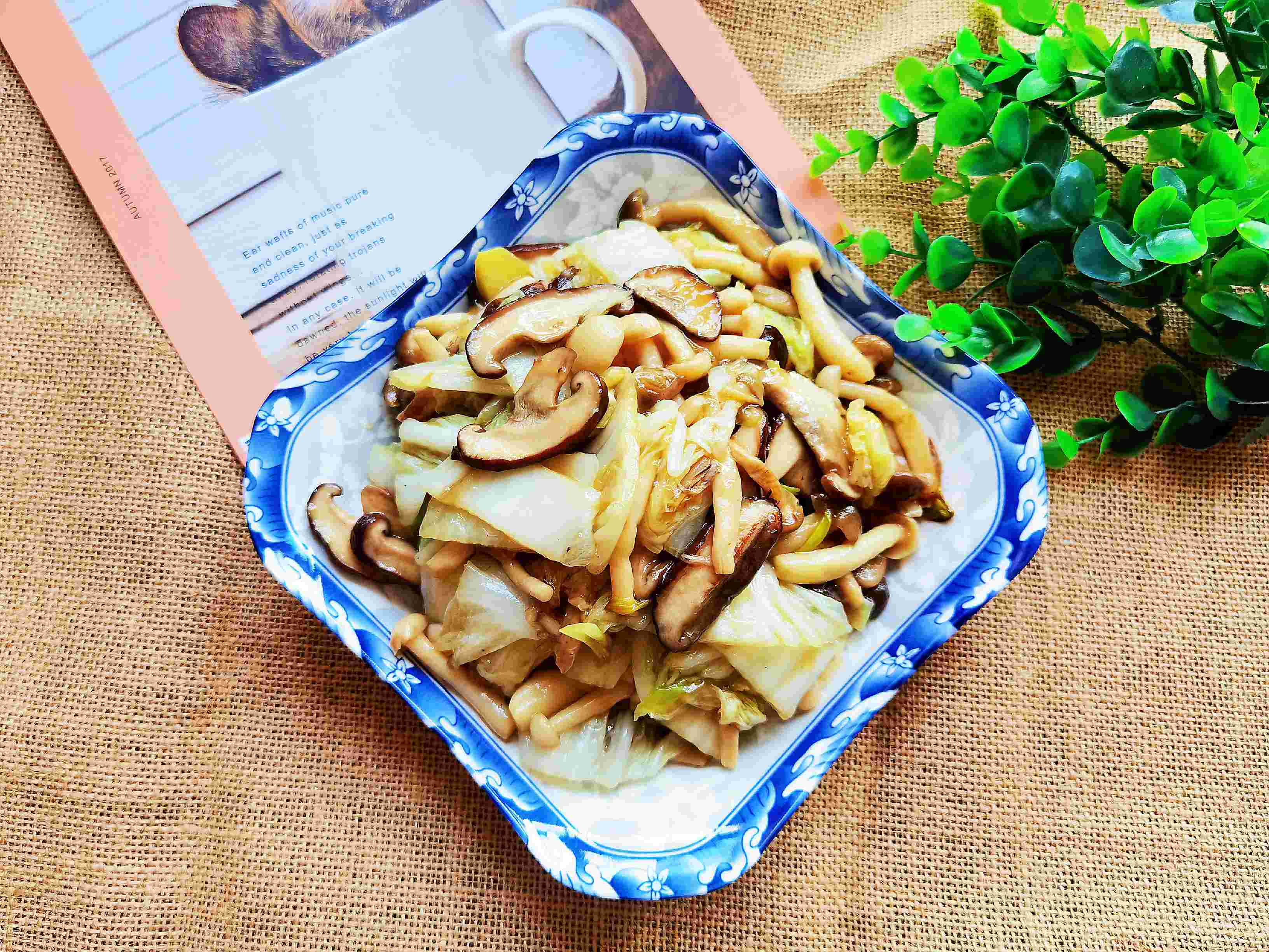 吃百菜不如吃白菜，白菜炒蘑菇，鮮美脆嫩又下飯的做法-咸鮮味炒菜譜