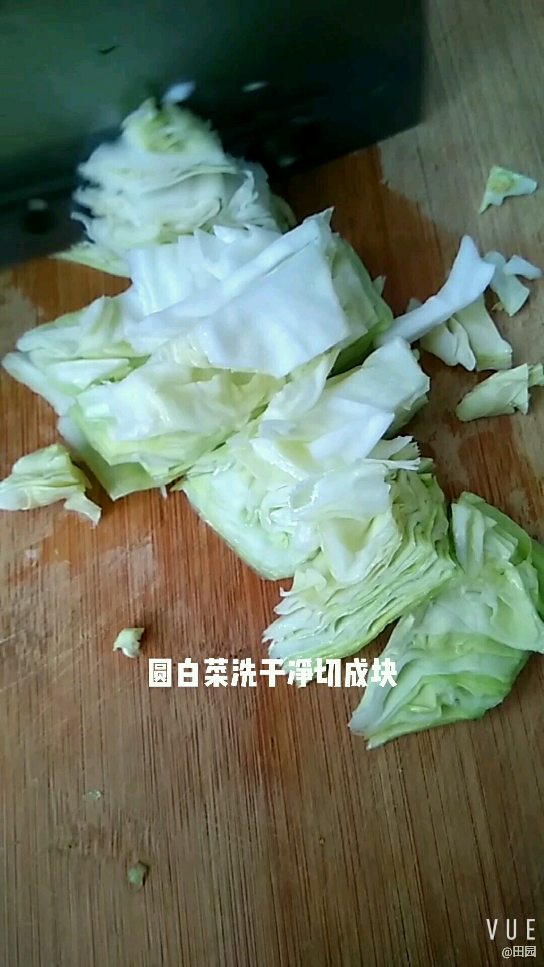 海蜇頭拌圓白菜的做法-酸甜味拌菜譜