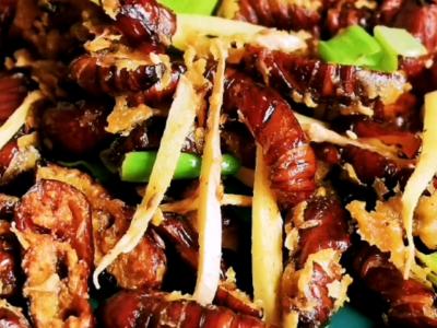 快手又下飯的粉絲蒸大蝦～的作法-咸鮮味蒸菜譜