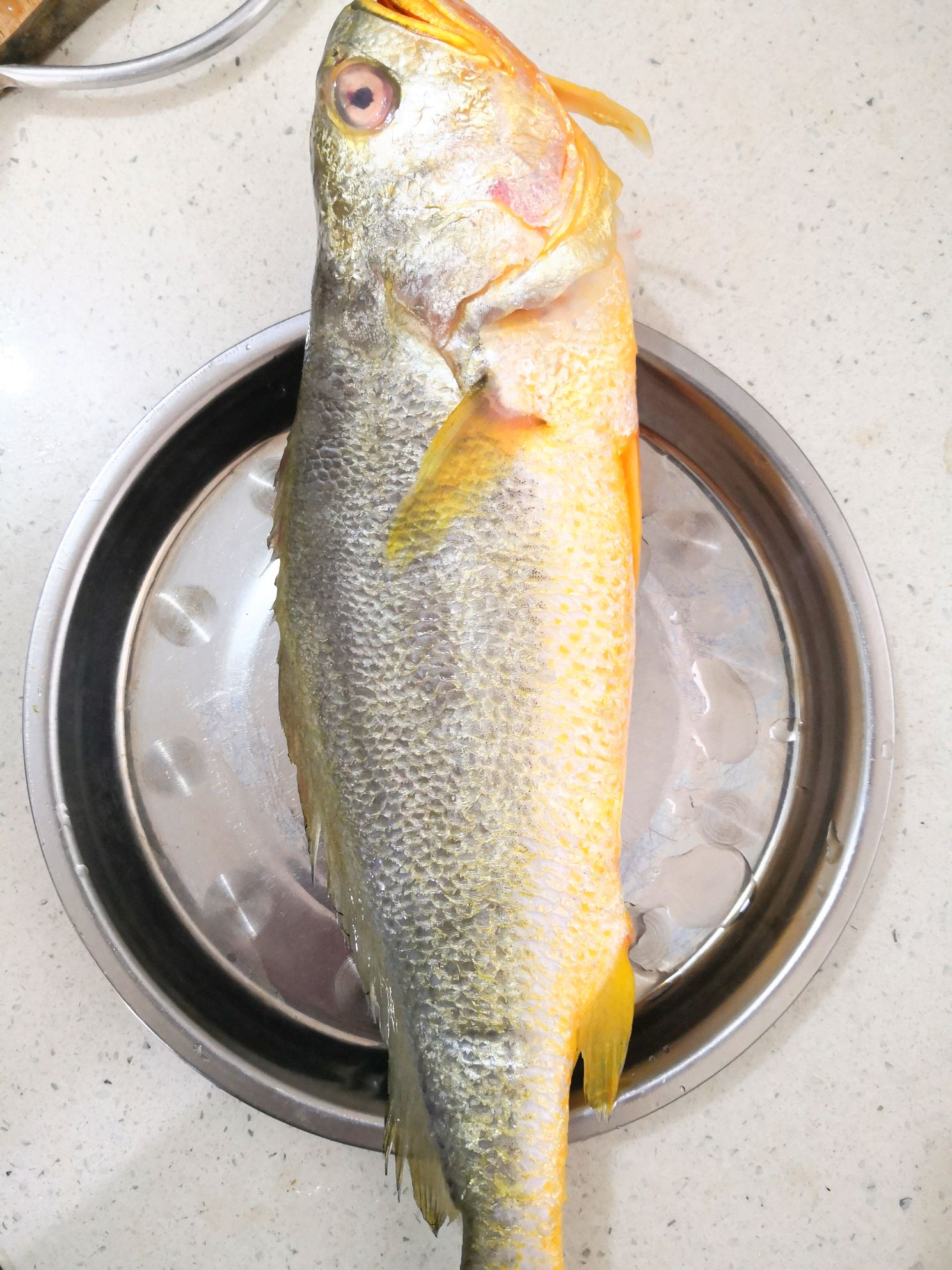 簡(jiǎn)單易學(xué)蒸黃魚的做法-咸鮮味蒸菜譜