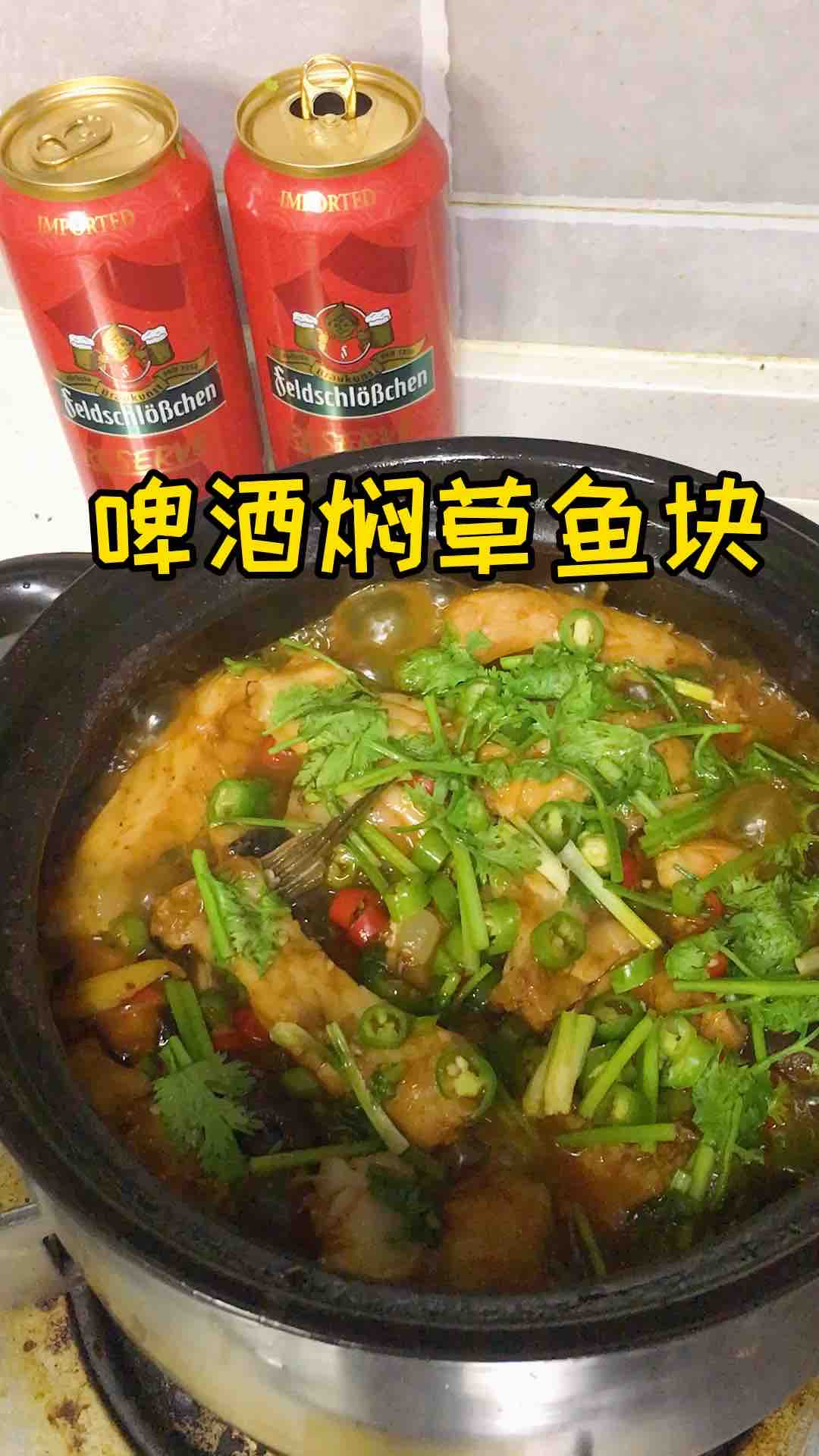 啤酒燜魚塊的做法-家常味燜菜譜