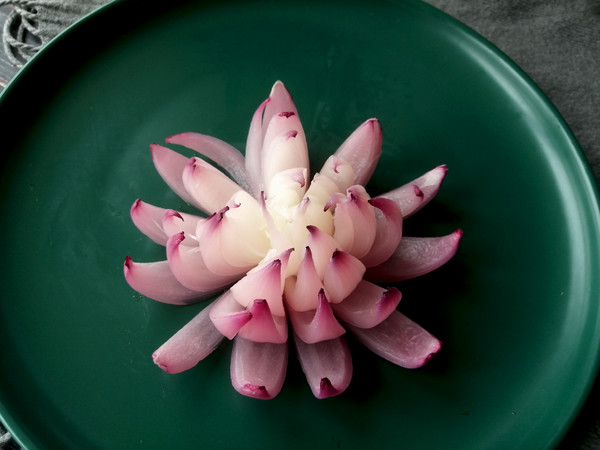 把洋蔥變成荷花的“魔術”的做法-其它口味其它工藝菜譜