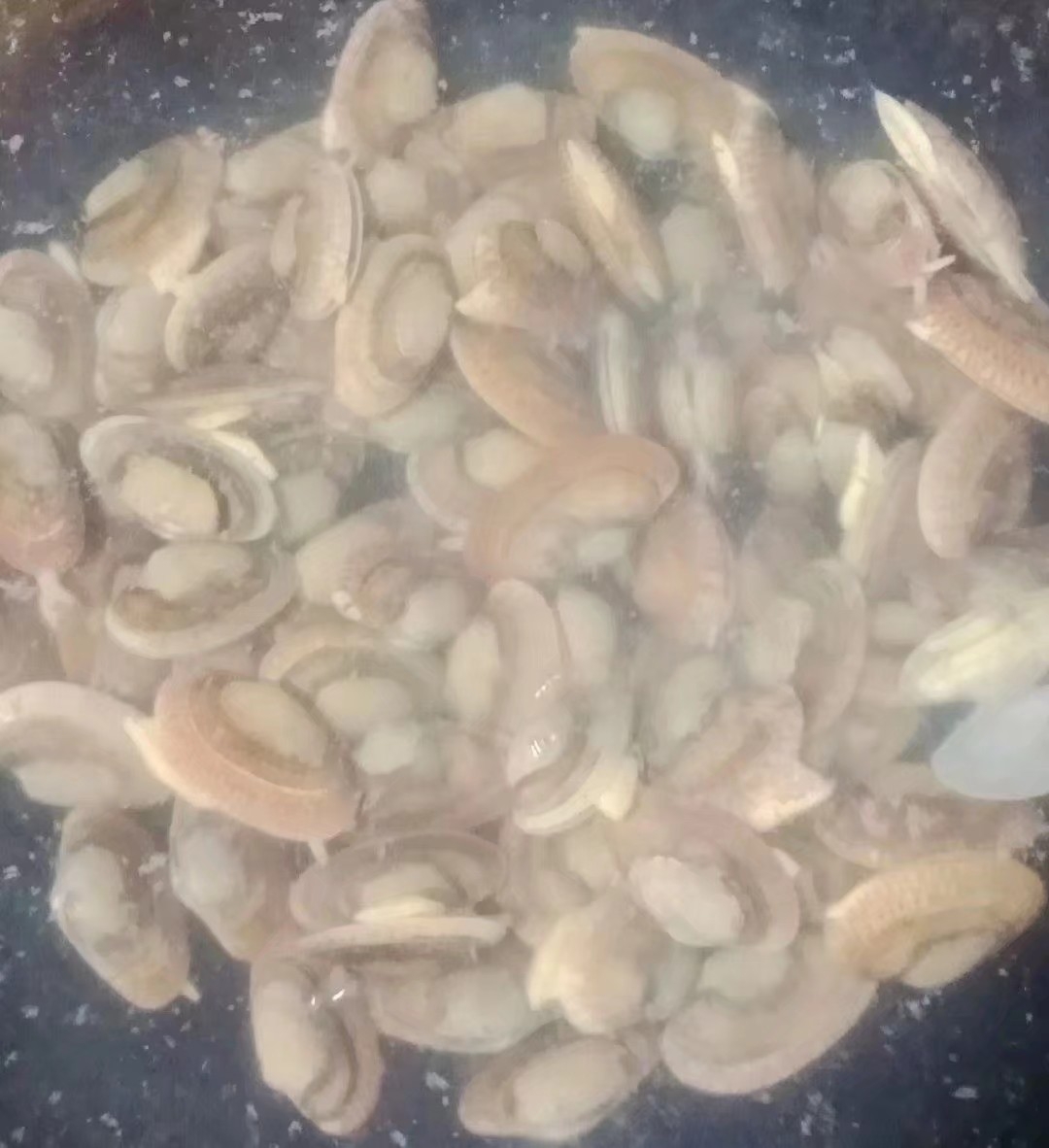 豆瓣醬炒花甲的做法-家常味炒菜譜